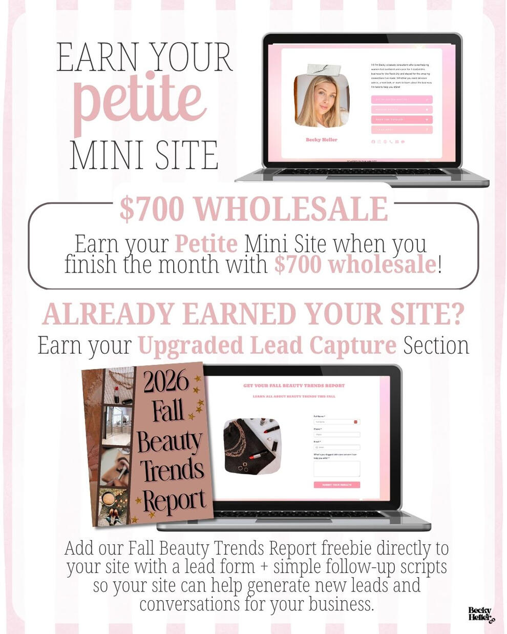 Mini Site