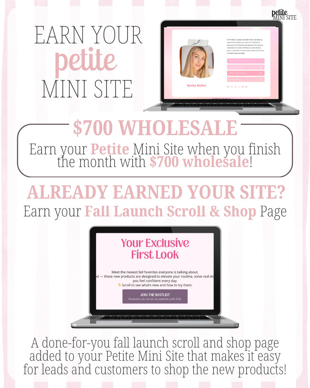 Mini Site